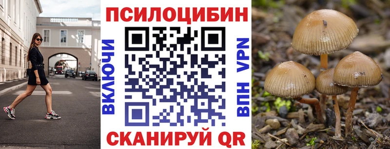 Псилоцибиновые грибы Cubensis  Таганрог 