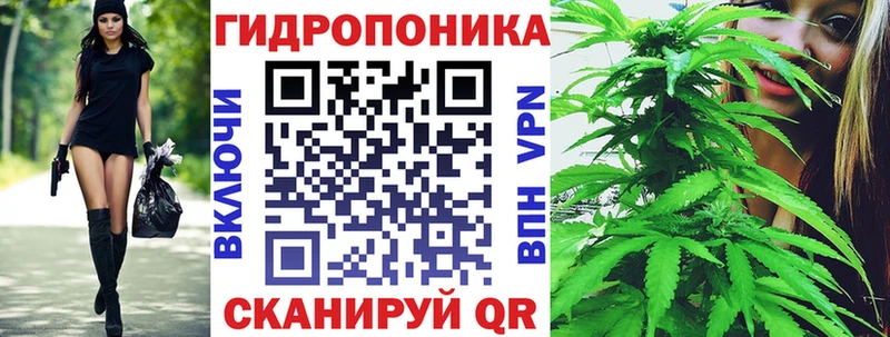 OMG ТОР  наркота  Таганрог  Бошки Шишки ГИДРОПОН 